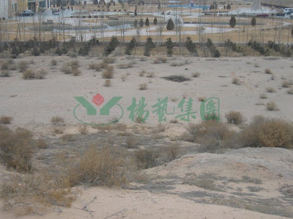 BC贷·(中国游)官方网站