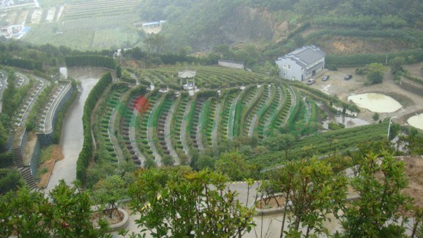 BC贷·(中国游)官方网站