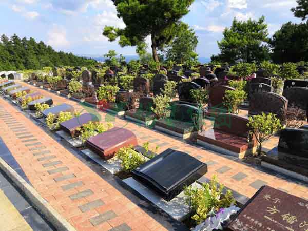 BC贷·(中国游)官方网站