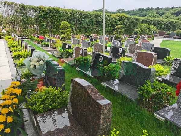 BC贷·(中国游)官方网站