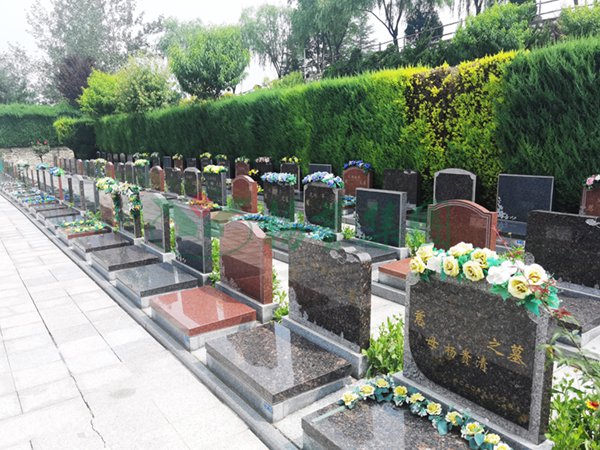 BC贷·(中国游)官方网站