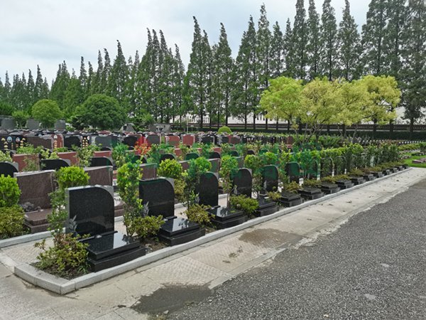 BC贷·(中国游)官方网站