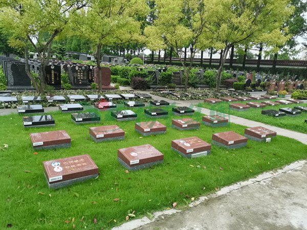 BC贷·(中国游)官方网站