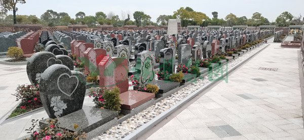 BC贷·(中国游)官方网站