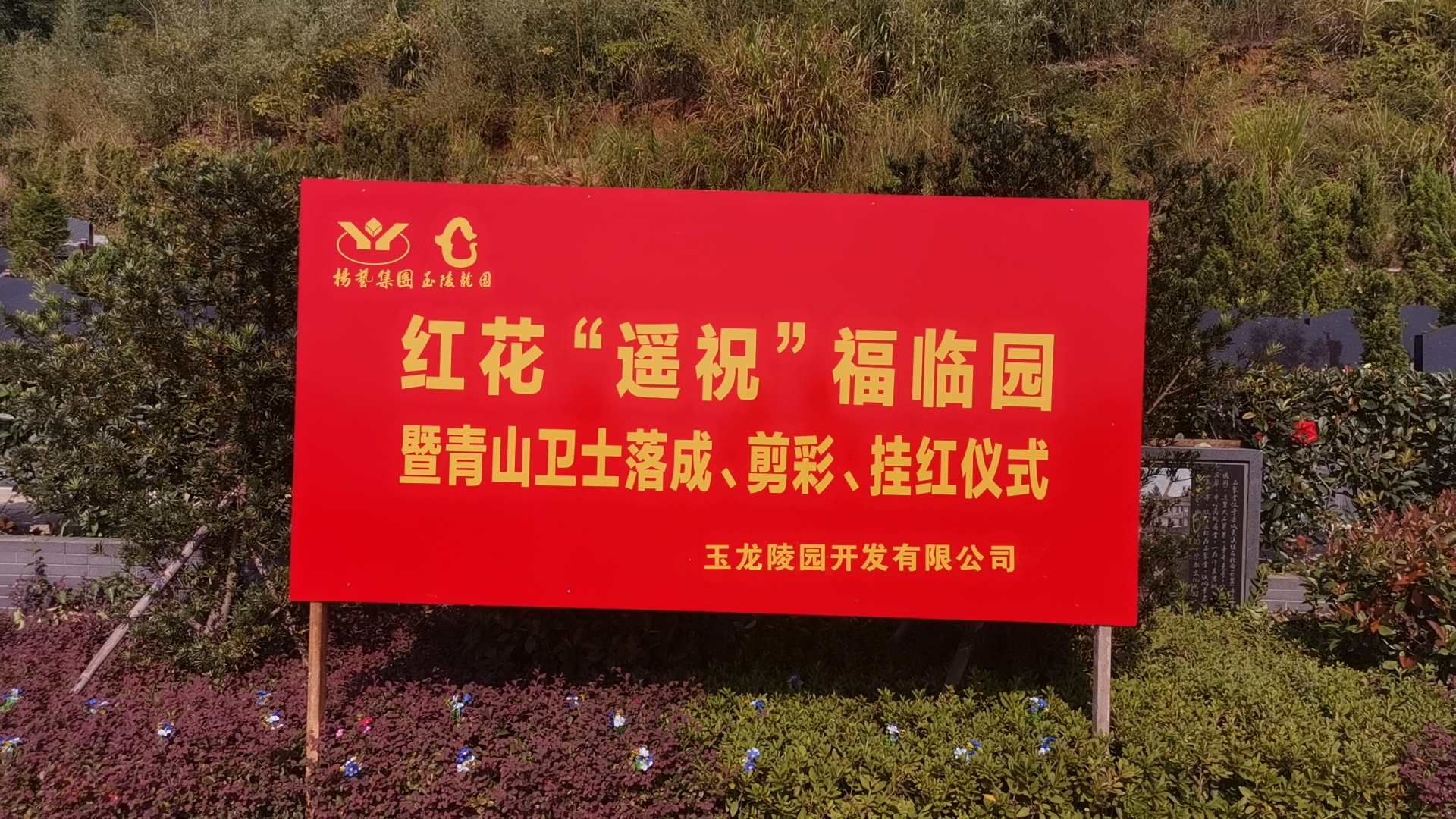 红花传爱意，，，，，，，情满玉龙园！