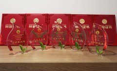 “BC贷杯”浙江省节地生态埋葬设计作品奖