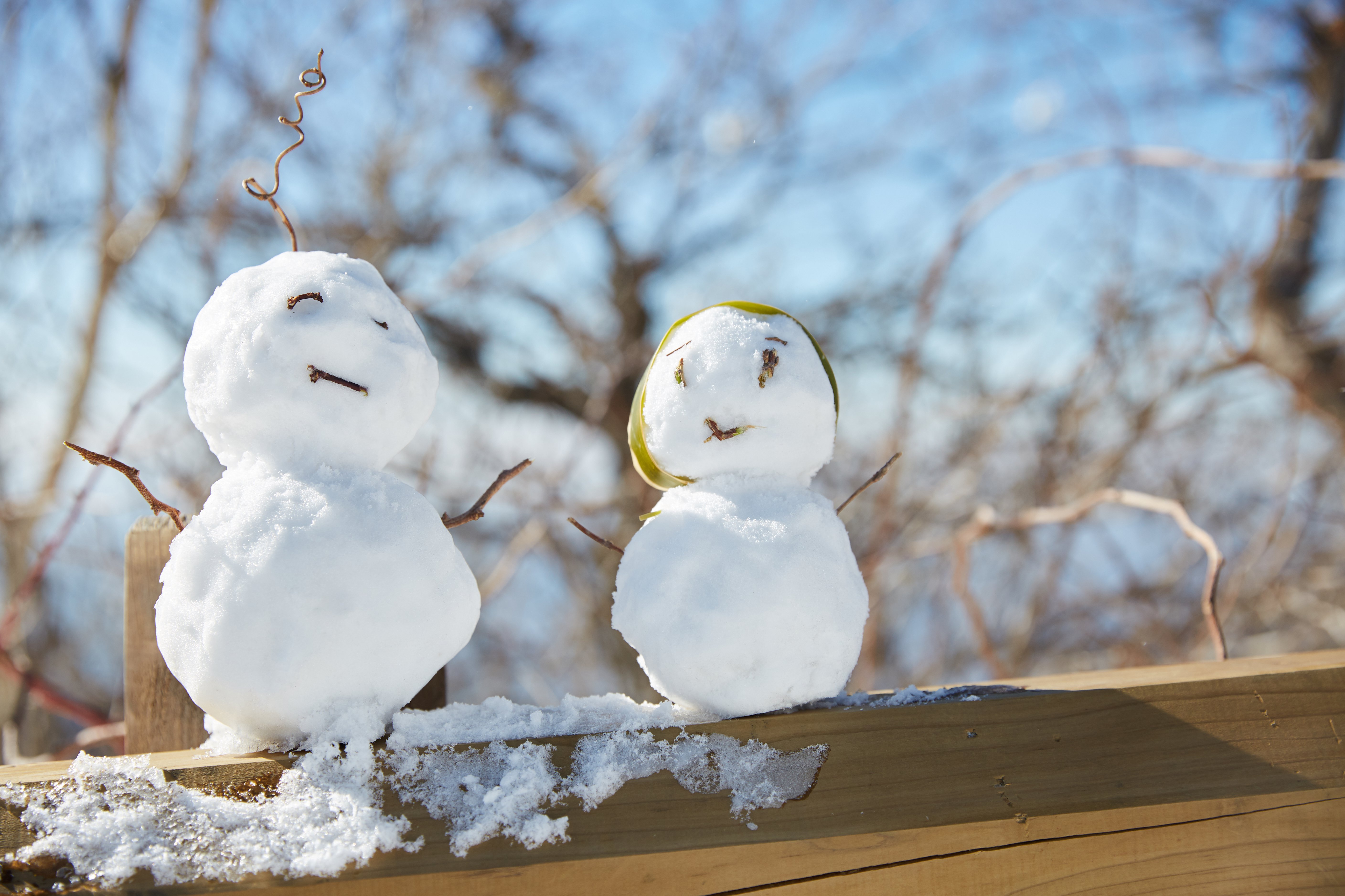 冬至，，，，暖“杨”相伴 | BC贷人全力配合各墓园冬至落葬