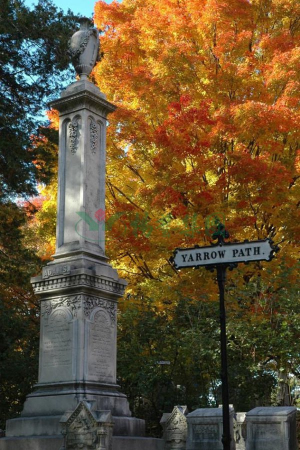 BC贷·(中国游)官方网站