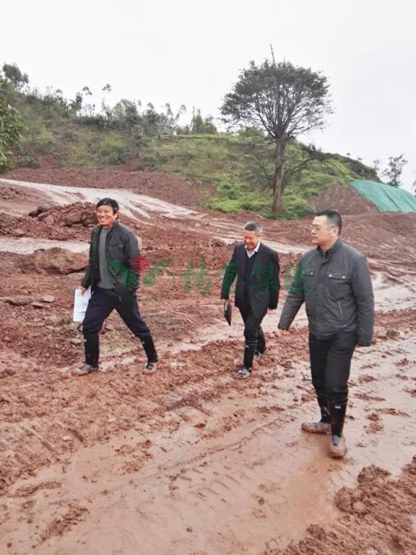 BC贷·(中国游)官方网站