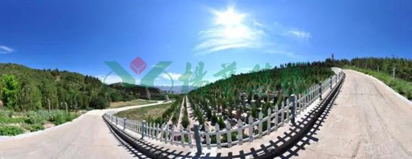 BC贷·(中国游)官方网站