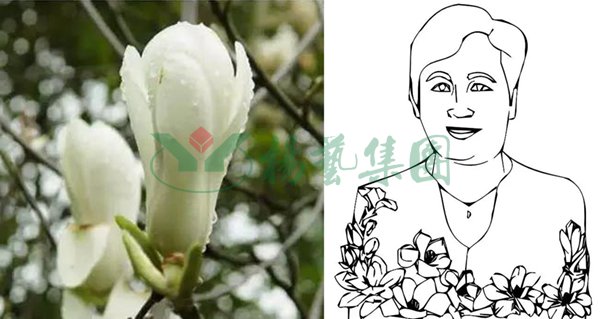 BC贷·(中国游)官方网站