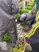 【BC贷人别样清明】2018年清明落葬事情圆满完成