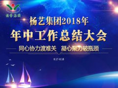 BC贷集团2018年中总结报告（摘要）