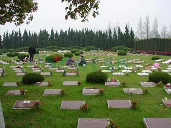 BC贷·(中国游)官方网站