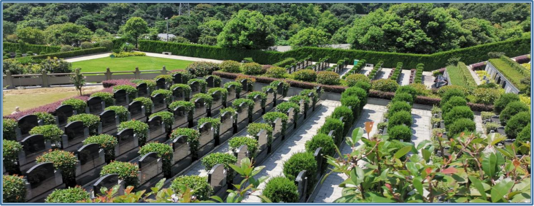 BC贷·(中国游)官方网站