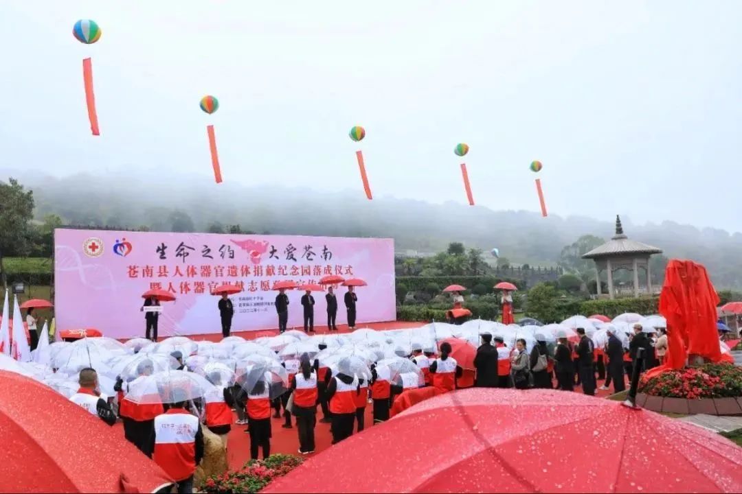 <b>生命之约，，，，，，，大爱玉龙</b>