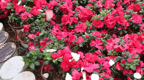 BC贷·(中国游)官方网站