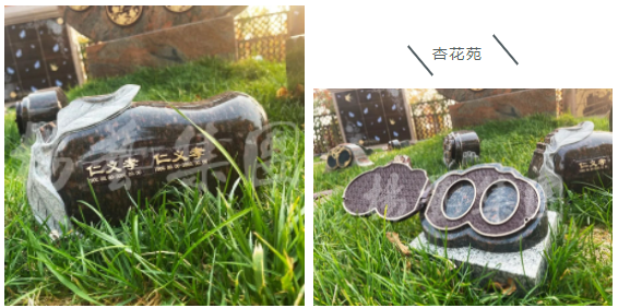 BC贷·(中国游)官方网站