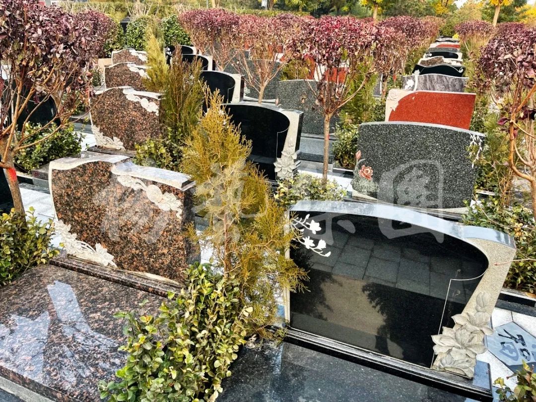 BC贷·(中国游)官方网站