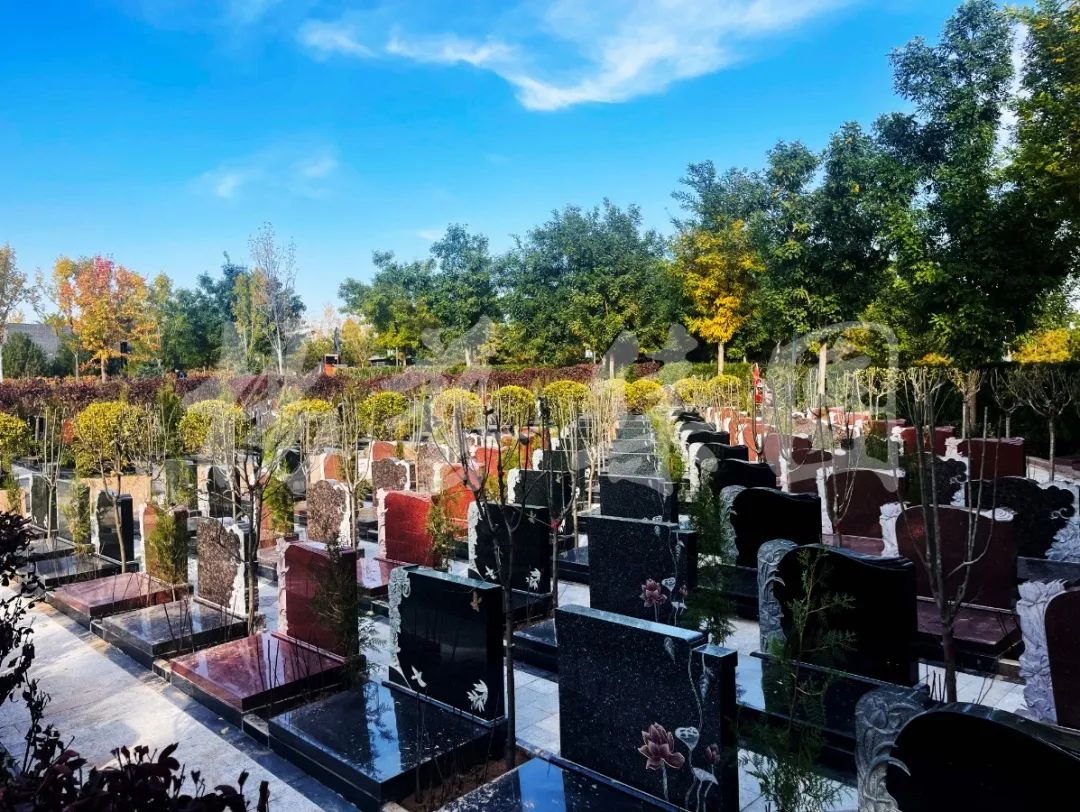 BC贷·(中国游)官方网站