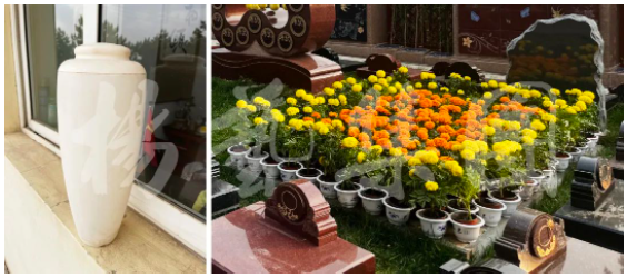 BC贷·(中国游)官方网站