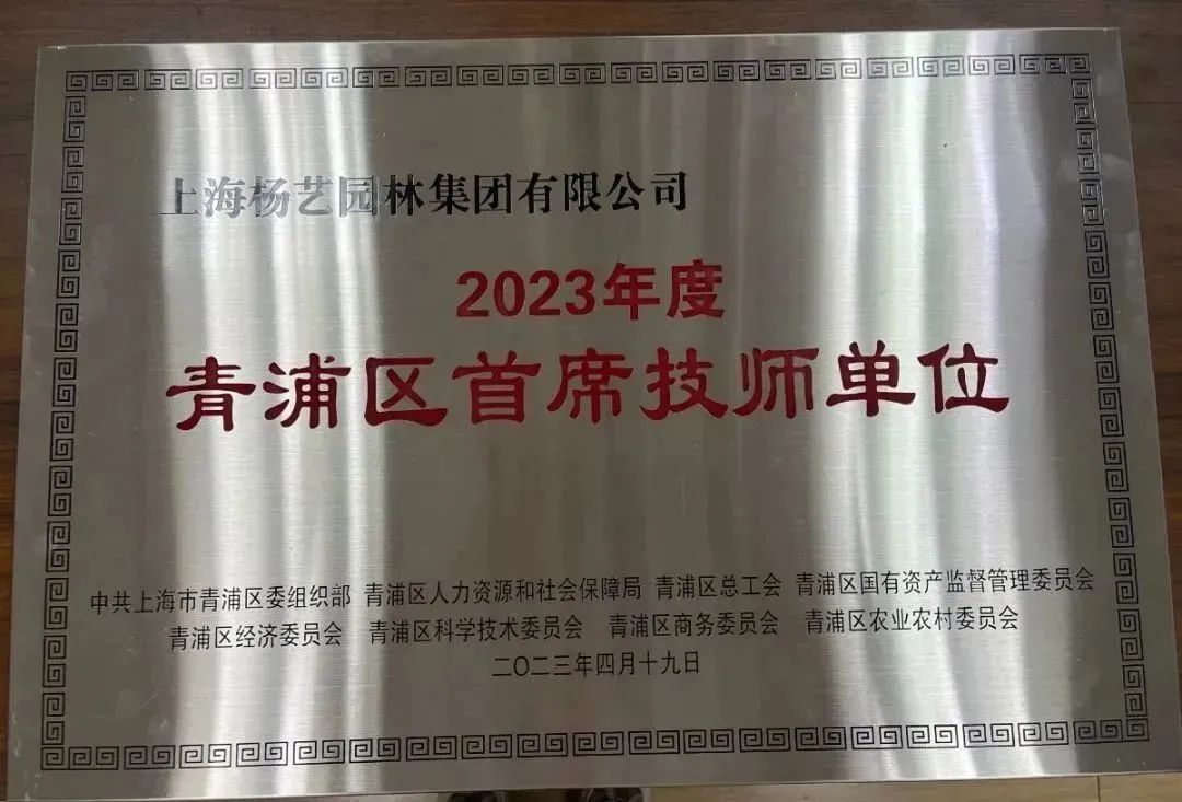 奋进结硕果 夏风传佳音