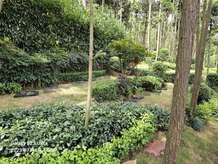 BC贷·(中国游)官方网站