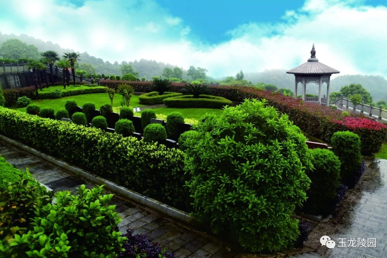 BC贷·(中国游)官方网站