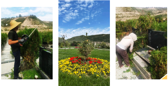 BC贷·(中国游)官方网站