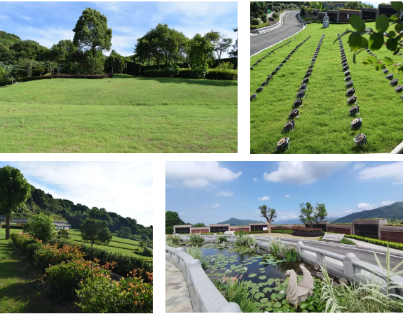 BC贷·(中国游)官方网站