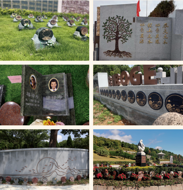 BC贷·(中国游)官方网站