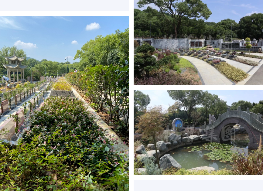 BC贷·(中国游)官方网站