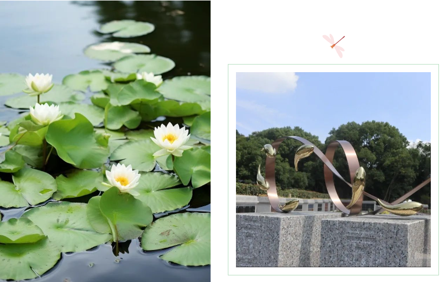 BC贷·(中国游)官方网站