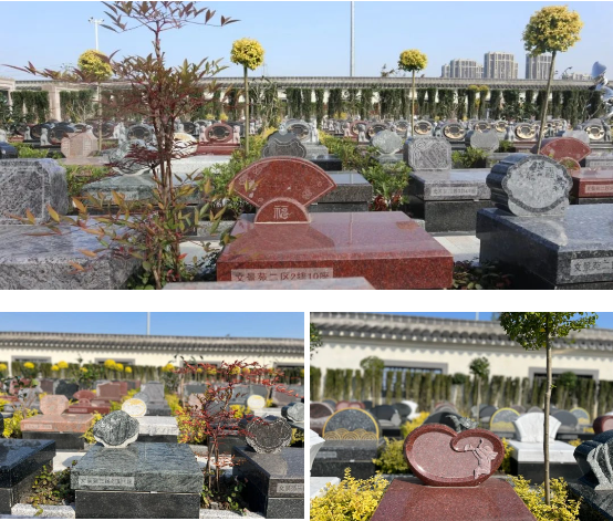 BC贷·(中国游)官方网站