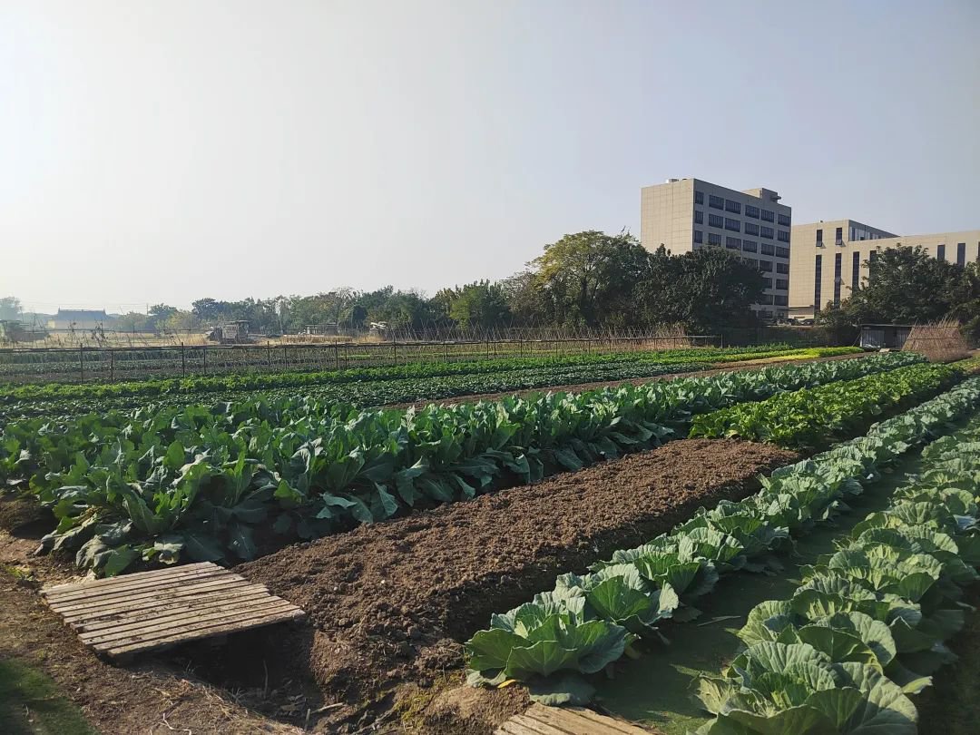 BC贷·(中国游)官方网站