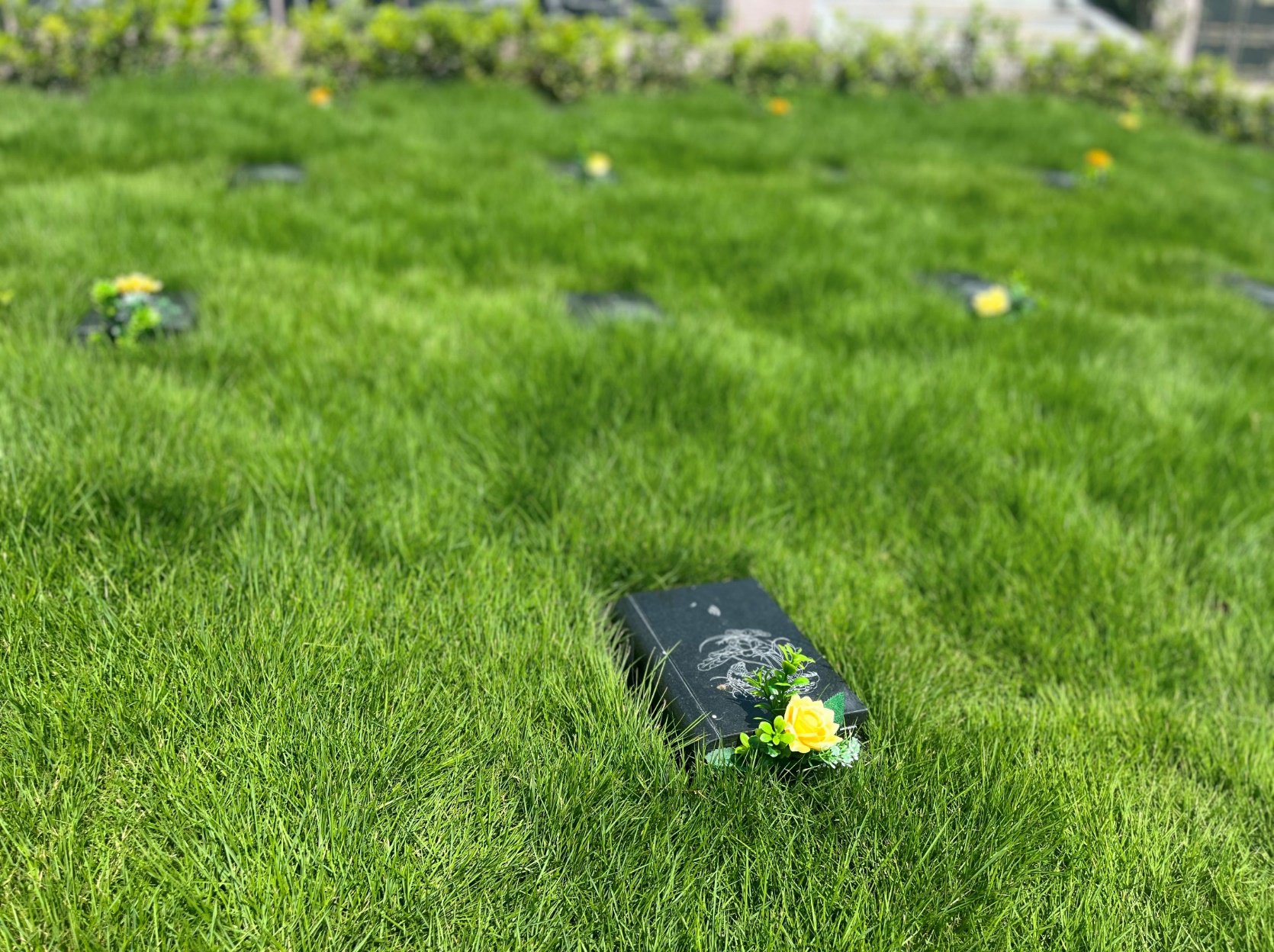 BC贷·(中国游)官方网站