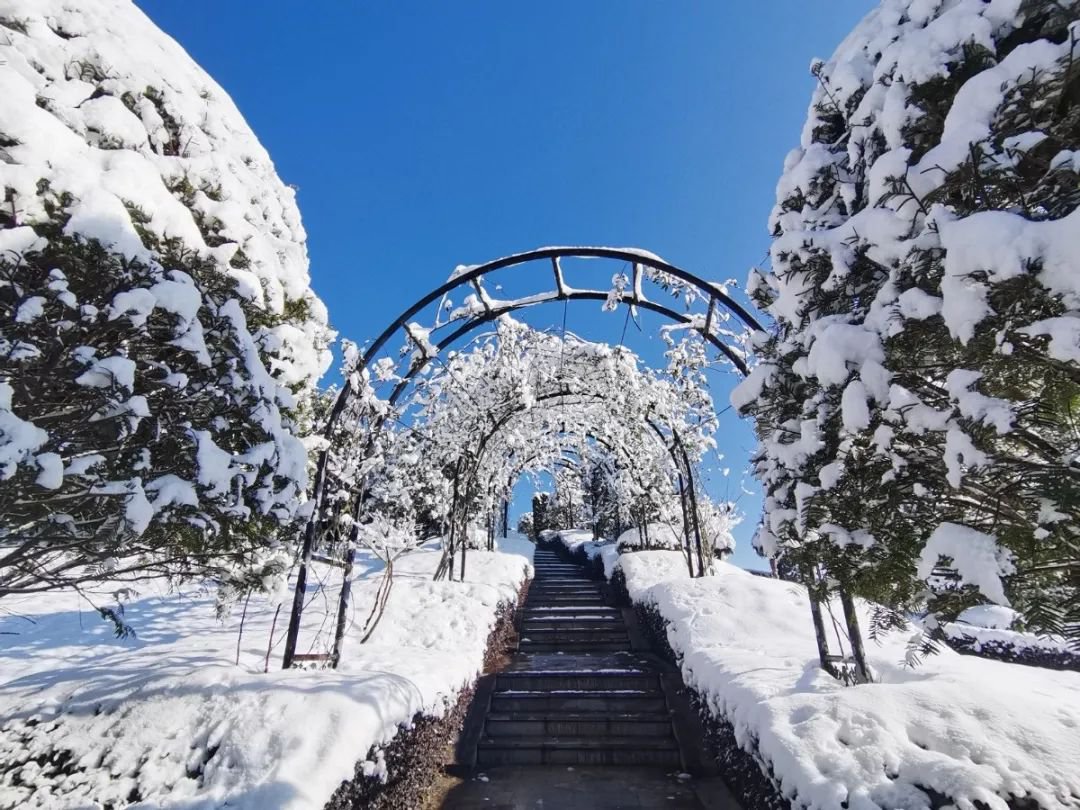 BC贷·(中国游)官方网站