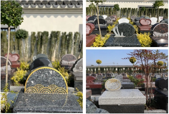 BC贷·(中国游)官方网站