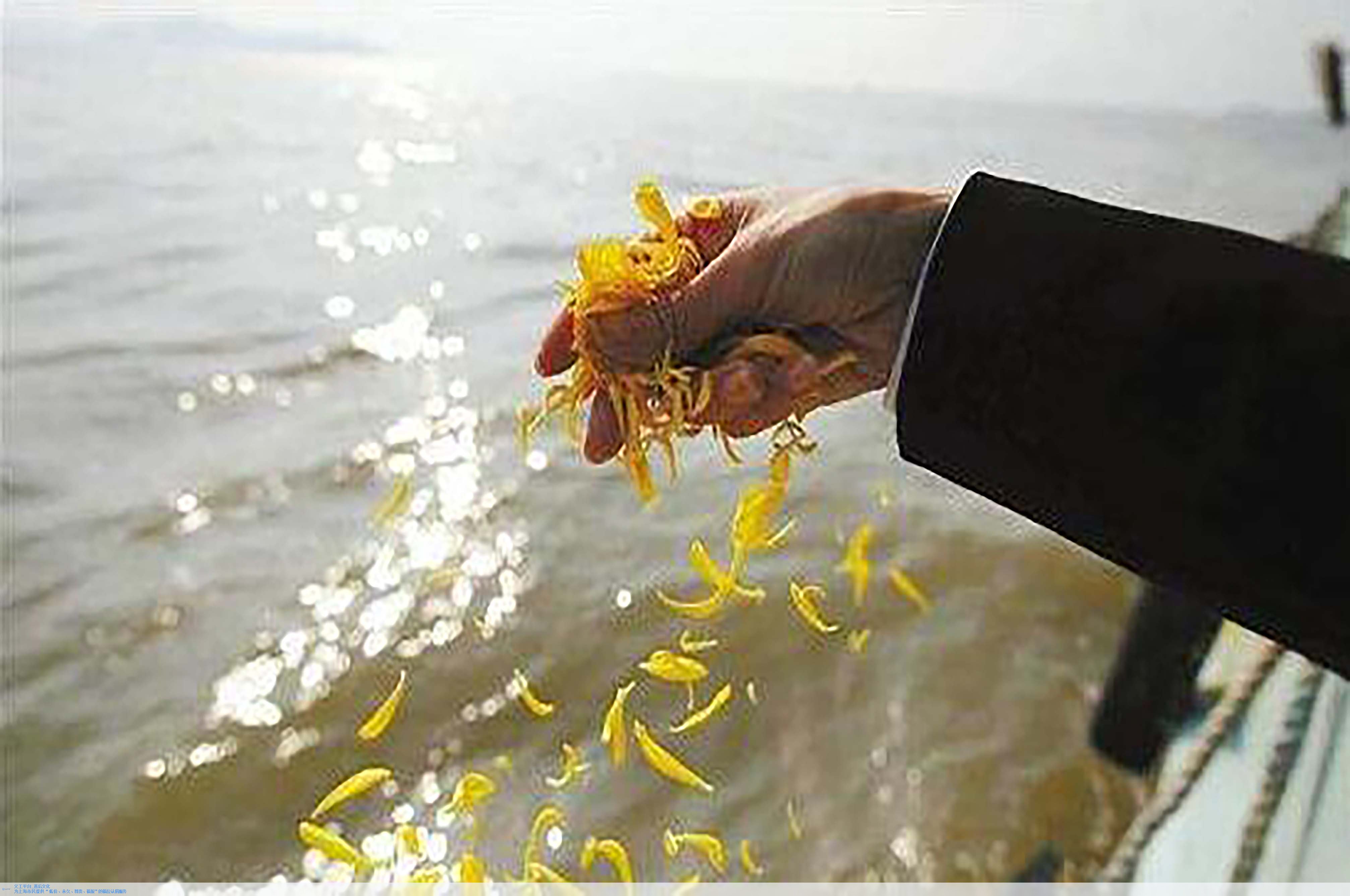 BC贷·(中国游)官方网站