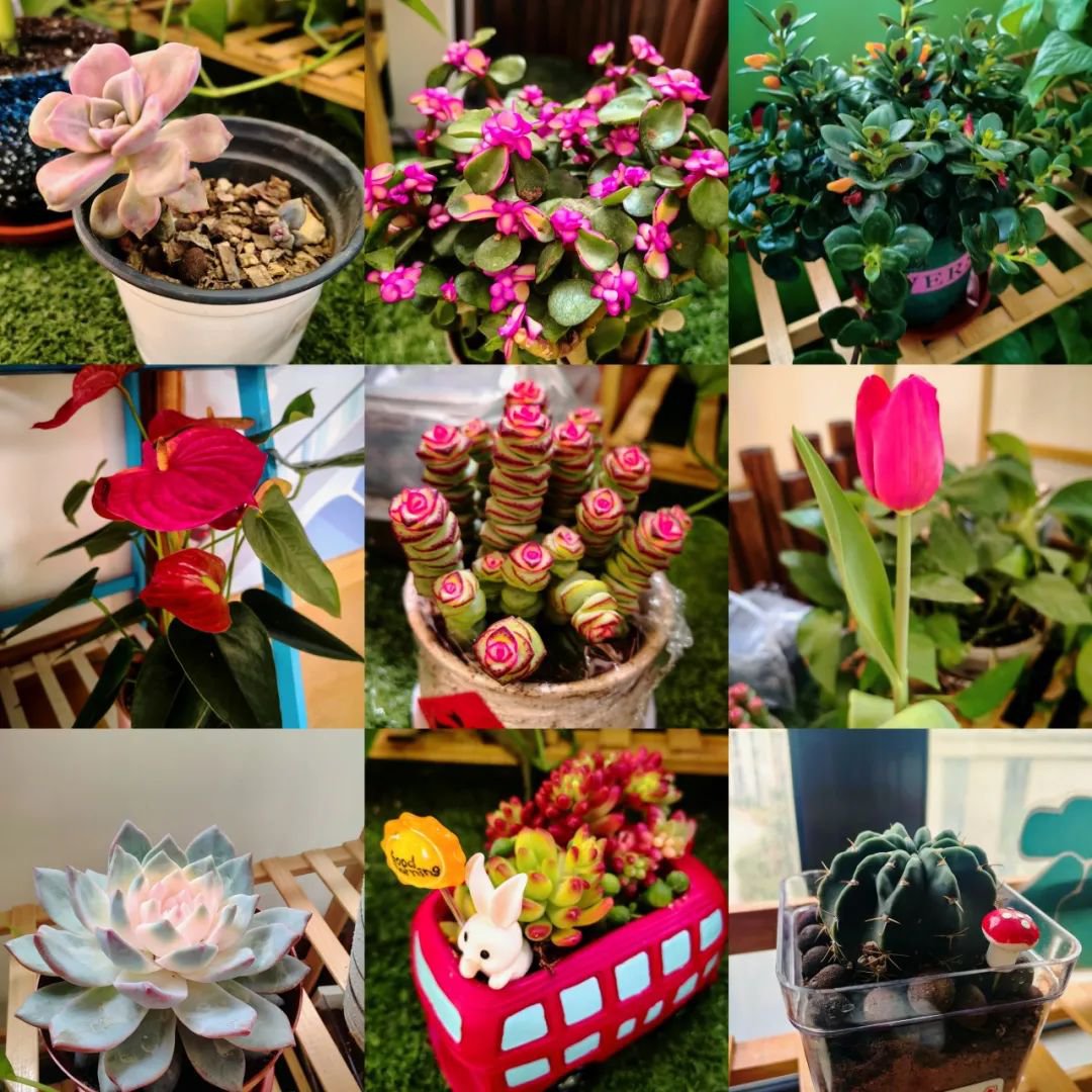 BC贷·(中国游)官方网站