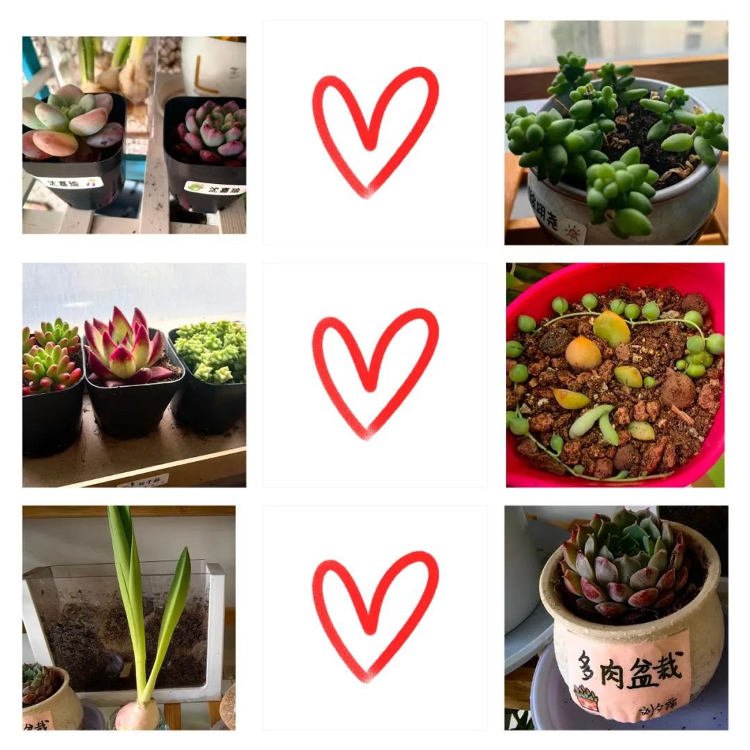 BC贷·(中国游)官方网站