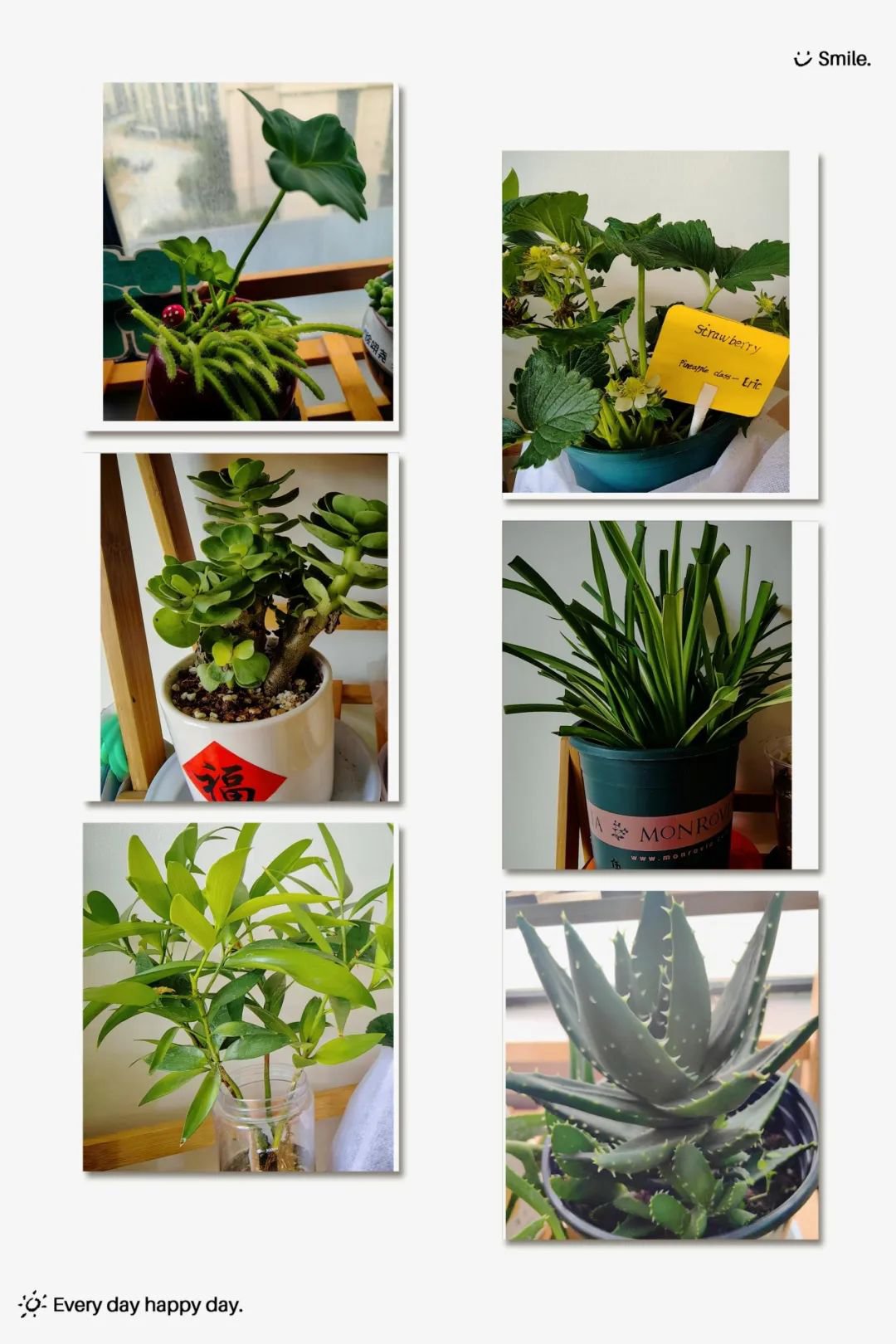 BC贷·(中国游)官方网站