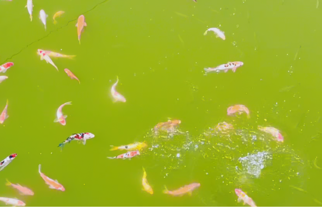 BC贷·(中国游)官方网站