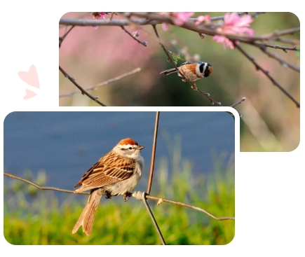 BC贷·(中国游)官方网站