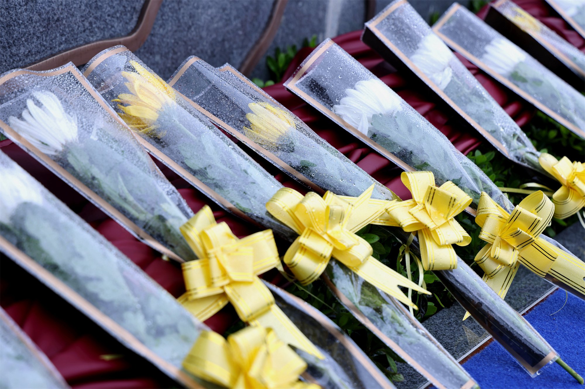 BC贷·(中国游)官方网站