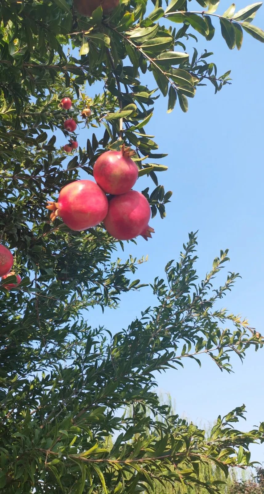 BC贷·(中国游)官方网站