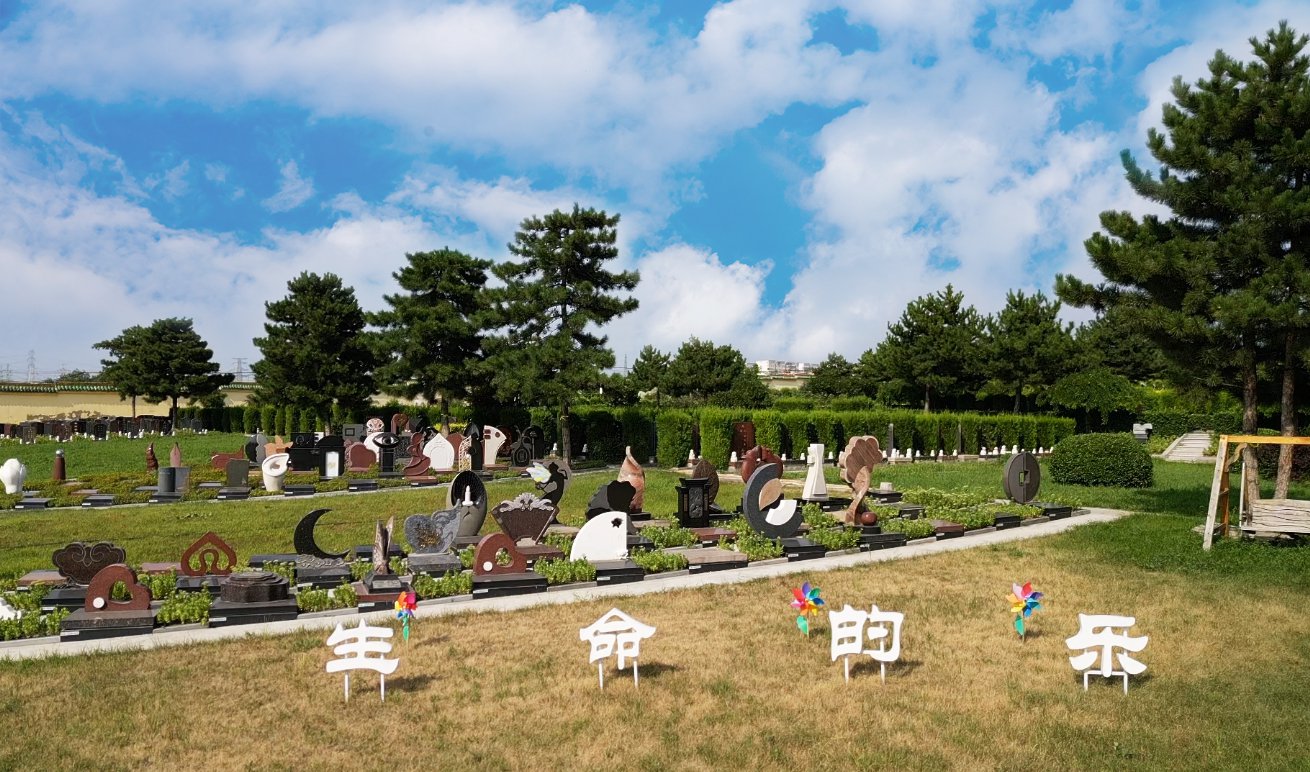 共赢之道：BC贷集团BOT相助模式的优势与效益剖析