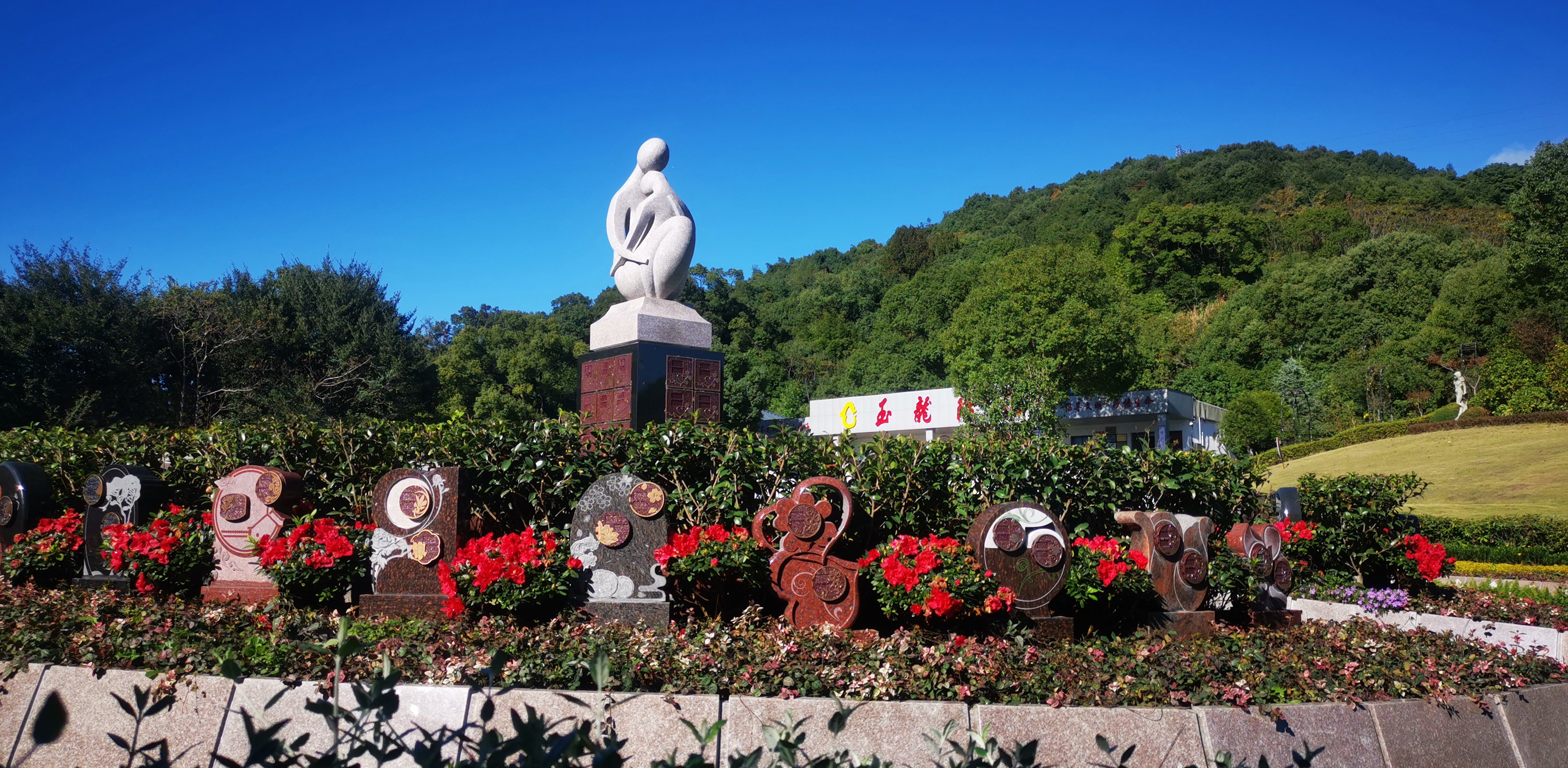 未来，，，，，，生态葬或将成为主流