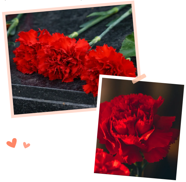 BC贷·(中国游)官方网站