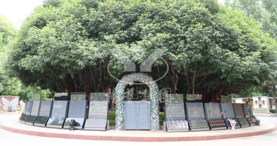 BC贷·(中国游)官方网站